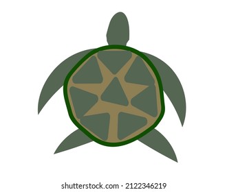 Single turtle vector on white background. Green turtle vector illustration.