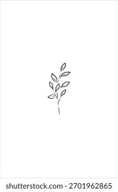 Vetor de estilo de arte de linha com um único galho. Projetos botânicos minimalistas para design, decoração e tipografia de casamento