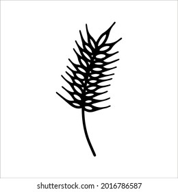 Single vector element, hand drawn wheat for autumn decoration. Doodle vector illustration. Spikelet of wheat isolated on white background. Hand drawn for greeting cards, posters and seasonal design.