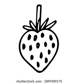Un único elemento vector con garrapatas a mano de fresas. Ilustraciones de zumos, bebidas frutales, mermeladas, recetas de cocina, diseño de cocina.