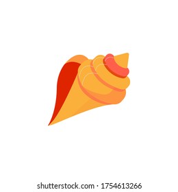 Single vector element isolated on white background. Seashell