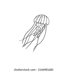 Single vector element isolated on white background. A jellyfish