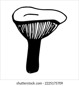 a single vector element mushroom white background.