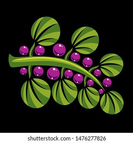 Single vector flat green leaf with purple berries. Herbal and botany art symbol, spring season stylized ecology icon. Environment conservation element.