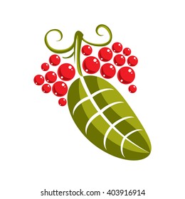 Single vector flat green leaf with tendrils and red seeds. Herbal and botany symbol, spring season natural icon isolated on white background. Ecology conservation theme design element.