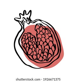 single vector illustration of a pomegranate fruit. Line art of ripe fruits, Doodle