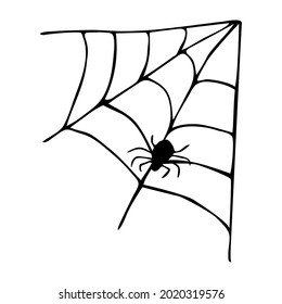 Single vector illustration of a spider web and a spider. Hand-drawn doodle spider web, Halloween icon