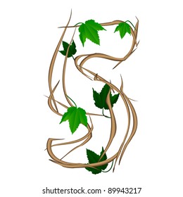  Single vector numbers in the form of tree branches