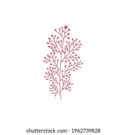 Single vector red herbal element on white background. Colorful doodle illustration for design.