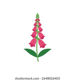 A single, vibrant foxglove flower is depicted against a clean white background, offering a delicate botanical illustration perfect for nature-themed designs and springtime projects.