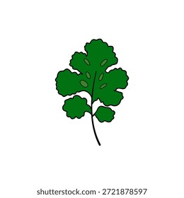 Ilustración de hoja de cilantro verde simple y vibrante. Dibujo detallado y estilizado con contornos oscuros sobre un fondo blanco limpio. Elemento de diseño fresco, natural y sencillo.