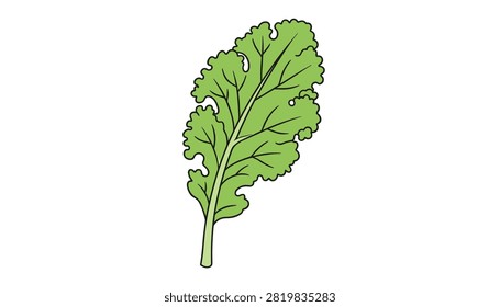 Single vibrant green kale leaf with crinkly edges and detailed veins depicted in a digital style.