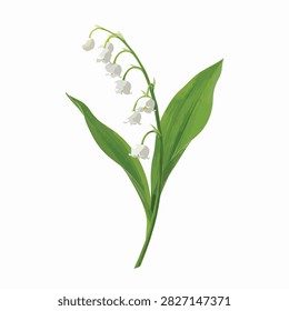 A single vibrant green leaf with a delicate white flower bud attached by a thin stem