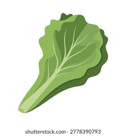 A single vibrant green lettuce leaf illustration showing detailed veins and wavy edges for healthy food and cooking design