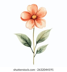 A single, vibrant peach-colored flower with a central yellow center, accented by soft green leaves, is presented in a watercolor style.