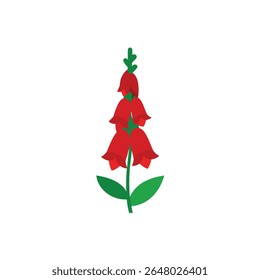 A single, vibrant red foxglove flower is depicted in full bloom against a clean white background, offering a striking botanical illustration perfect for nature-themed designs.