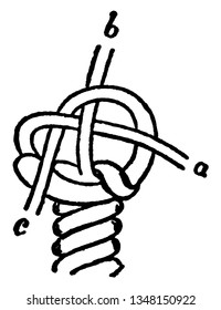 Single Wall Crowned is a decorative kind of rope button, vintage line drawing or engraving illustration.