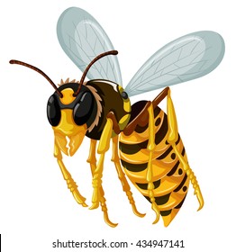 Single wasp flying on white background illustration