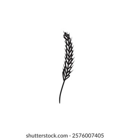 Single wheat ear ink drawing in black isolated on white background. Hand drawn vector sketch illustration in doodle engraved vintage line art style. Concept of flour, bakery design, bread shop