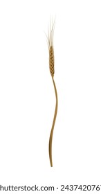 Single Wheat Plant Vector Illustration