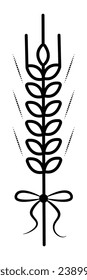 Single wheat spikelet with a bow, magical vector black line illustration