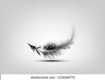 Single white and black feather vector isolated on grey background. Levitation plume, lightness concept