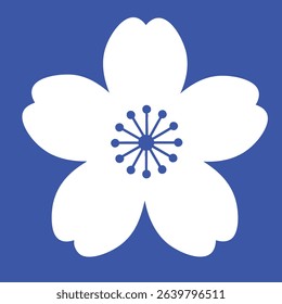 Single White Cherry Blossom Flower Against a Solid Blue Background