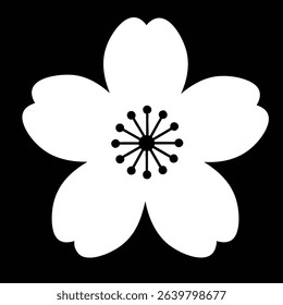 Single White Cherry Blossom Flower Against a Solid Black Background