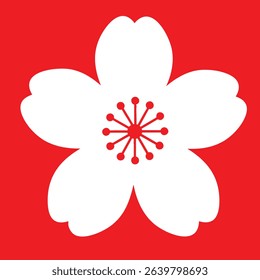 Single White Cherry Blossom Flower Against a Solid Red Background