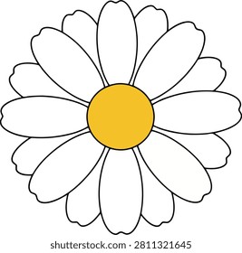Single White Daisy Flower With Yellow Center Blooming on a Plain Background for Spring and Nature Concepts