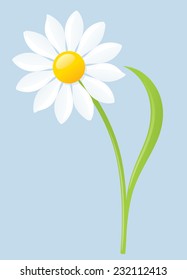 Single white daisy on blue background.