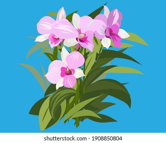 Einzel-weiße Orchideenblume, Ddendrobium. Handgezeichnete Vektorgrafik auf blauem Hintergrund. Schöne tropische Orchidee bud auf der Stiel. Design-Element für Hochzeitseinladungen, Kosmetik, Parfums.