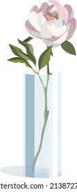 Single white peony in cylindrical vase in light flat style, isolated on white background
