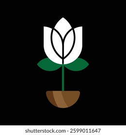 A single white rose flower 