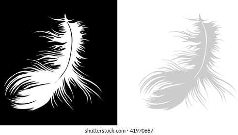 Single white vector feather on black background and on white background.