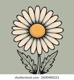 A single wild daisy in full bloom, its pure white petals radiating around a vibrant golden center