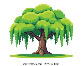 A single willow tree with green leaves and long dangling branches.