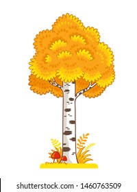 Single yellow birch stands in a clearing with mushrooms on a white background. Vector illustration with tree on autumn theme in cartoon style.