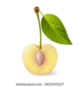 A single yellow cherry with a green leaf on its stem, cut in half with the pit exposed, illustration on a white background