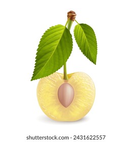 A single yellow cherry with a green leafs on its stem, cut in half with the pit exposed, illustration on a white backdrop
