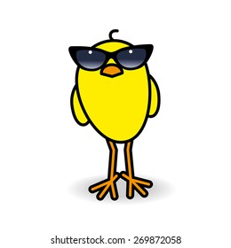 Single Yellow Chick Wearing Ladies Black Rimmed Sunglasses Staring towards camera on White Background