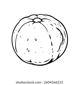 Single Yellow Citrus Fruit Hand-Drawn Illustration