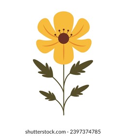 Single yellow field flower isolated. Minimalistic flat style. Wild plant with yellow flower, stem and leaves. Spring meadow plant. Lawn flower. Flower for print, postcard, wedding invitation.