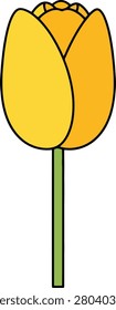 Single Yellow Tulip Flower With Green Stem and Leaf Isolated on Simple White Background for Spring Concept