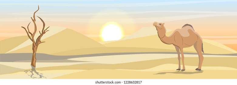 A single-humped camel in a desert with sand dunes and a drought-dried tree. Wildlife of Africa. Sahara Desert. Realistic Vector Landscape