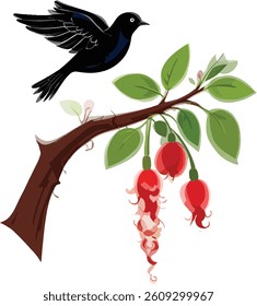 Sinhala and Tamil New Year, Sinhalese celebration, Erabadu Flowers with koha Sri lankan new year design, vector illustration.
