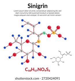 Sinigrina o glucosinolato de alilo, fórmula de estructura molecular, modelo de bola y palo, adecuado para contenido de educación o ciencia química. Ilustración vectorial