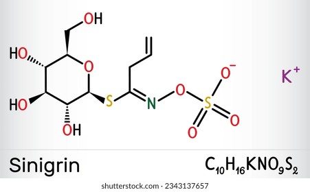 Sinigrin, allyl glucosinolate molecule. Glucosinolate from family of glucosides, found in plants of the family Brassicaceae. Skeletal chemical formula. Vector illustration