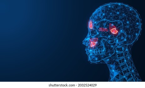 Sinusitis, an acute inflammatory process of the maxillary sinuses of the nose. The human skull and spine. Polygonal construction of lines and points.