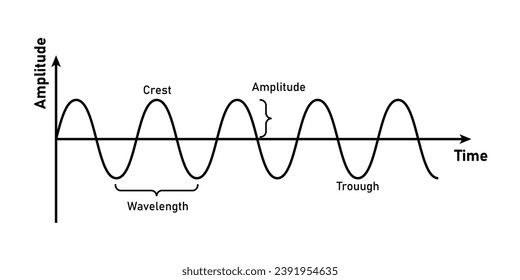 Sinusoidal wave signals. Parts of a wave. Scientific resources for teachers and students. Vector illustration isolated on white background.
